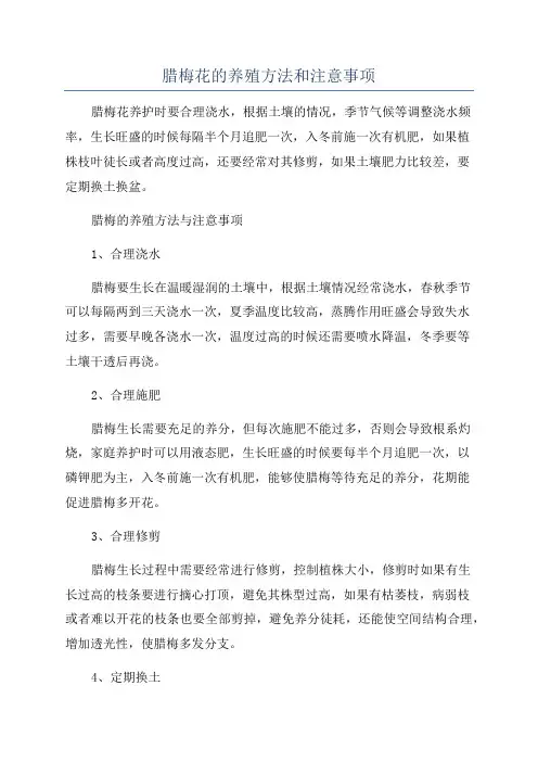 腊梅花的养殖方法和注意事项
