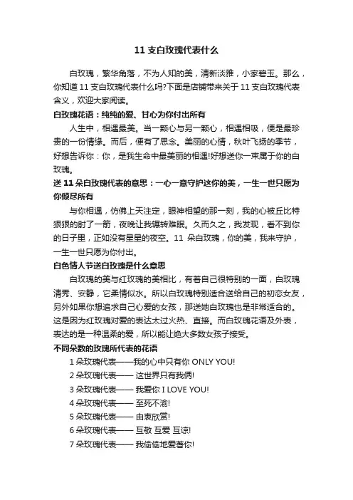 11支白玫瑰代表什么