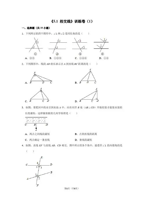 《5.1 相交线》训练卷(2)