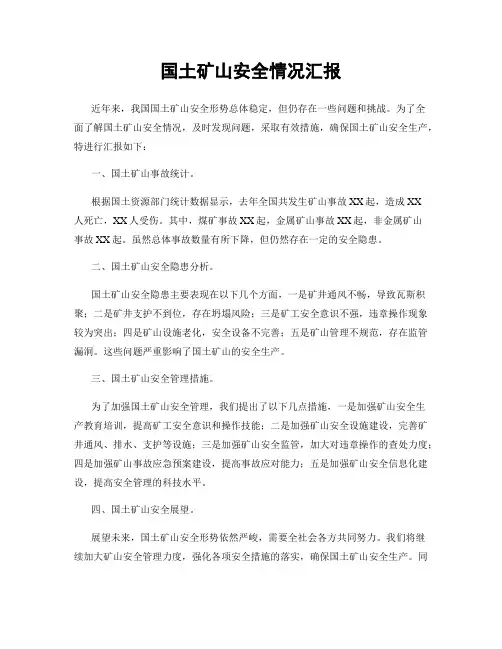 国土矿山安全情况汇报