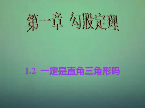 【北师大版】八年级上册数学《一定是直角三角形吗》ppt课件
