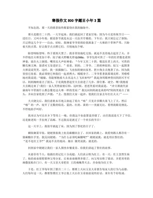 寒假作文800字题目小年3篇