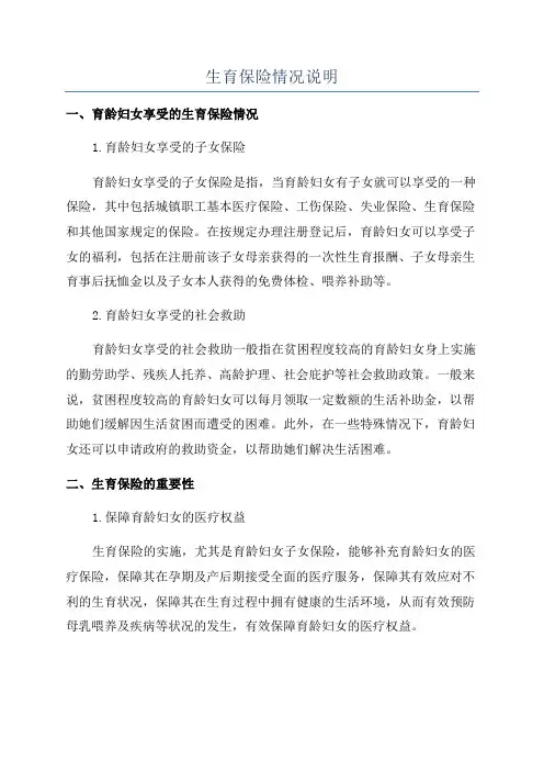 生育保险情况说明