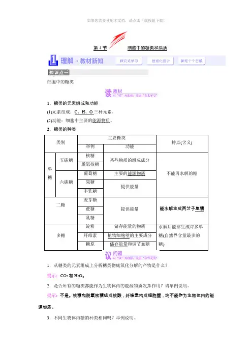 糖类脂肪答案