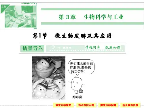 人教版高中生物选修二3.1《微生物发酵及其应用》ppt课件