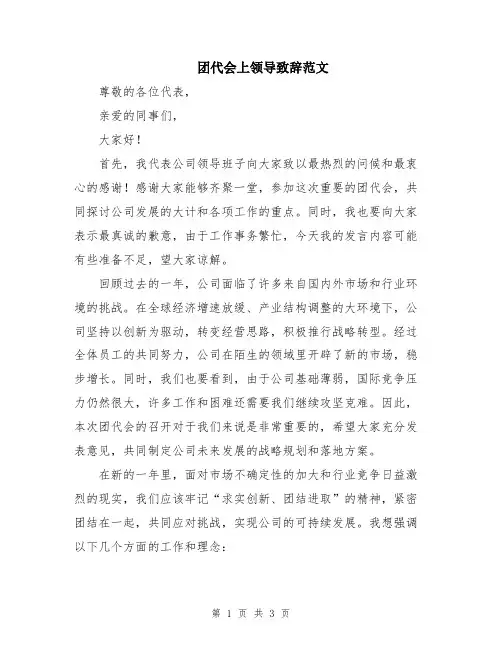 团代会上领导致辞范文