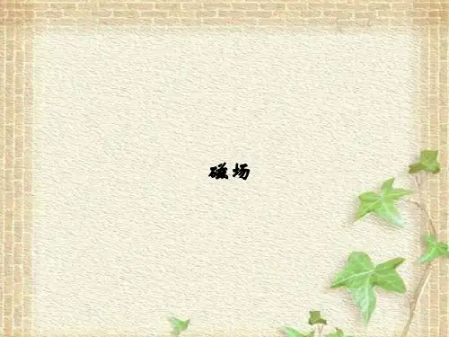 2022-2023年高考物理二轮复习 磁场课件(重点难点易错点核心热点经典考点)