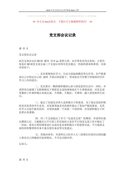2019年党支部会议记录-精选word文档 (1页)