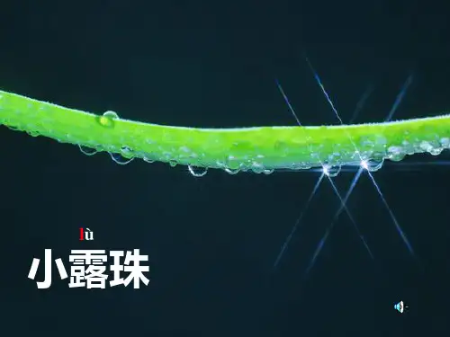 苏教版三年级上册语文《小露珠》公开课PPT课件