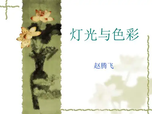灯光与色彩  编导  视听语言