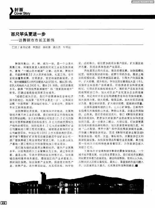 百尺竿头更进一步——访舞钢市市长王新伟