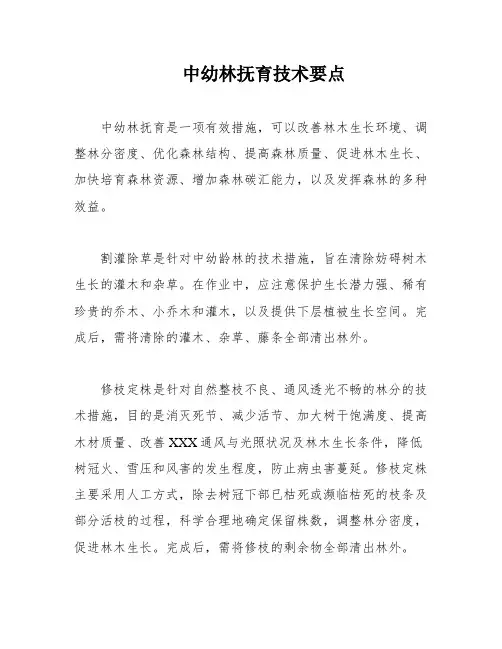 中幼林抚育技术要点