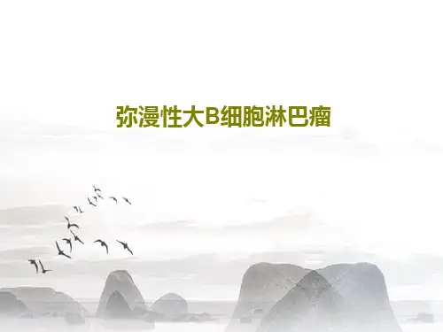 弥漫性大B细胞淋巴瘤共61页
