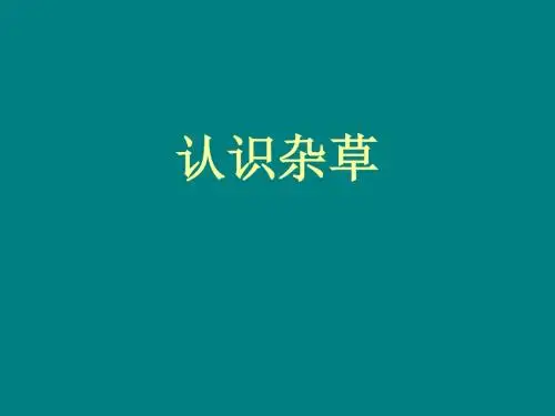 初中劳技常见农田杂草的识别