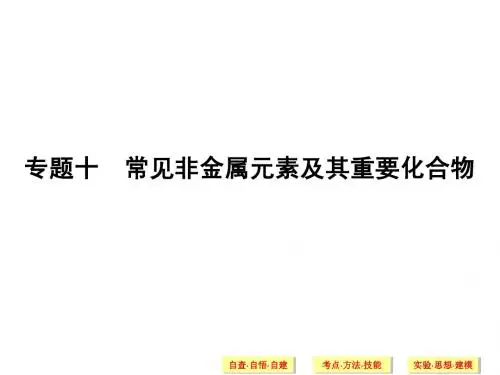 2014届高考化学二轮专题复习专题10：常见非金属元素及其重要化合物