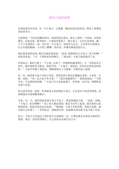 我与小兔的故事
