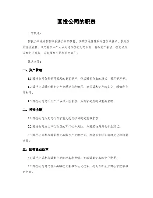 国投公司的职责 (2)