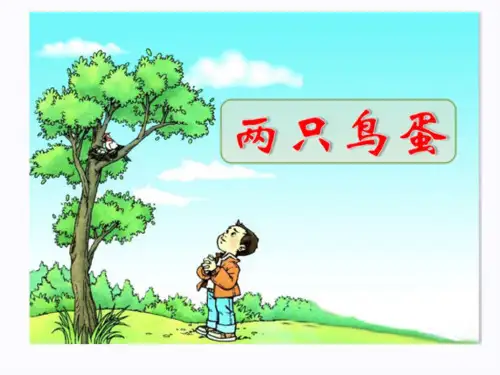 两只鸟蛋1PPT课件