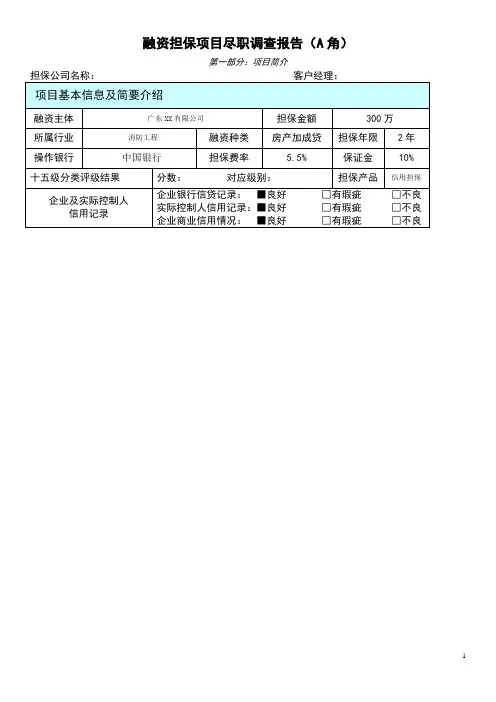 银行融资担保项目尽职调查报告(A角)