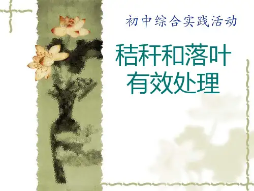 初中综合实践活动《察探究活动  2.秸秆和落叶的有效处理》培优课件_24