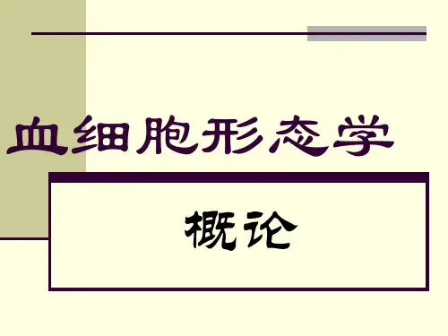 血细胞形态学PPT优秀课件