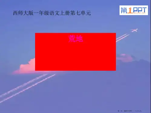 11课《荒地》课件_西师大版