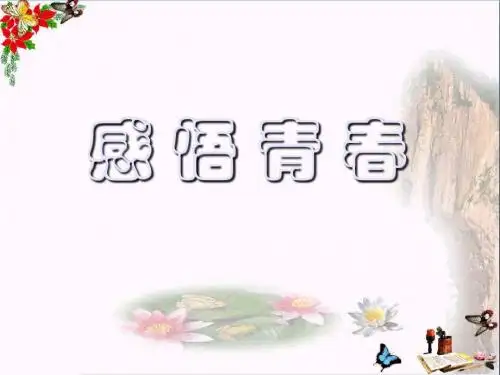 感悟青春ppt优秀课件3 人教版