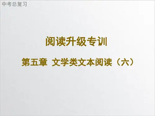 2022届广东中考语文二轮复习阅读升级专训文学类文本阅读课件(六)演示课件