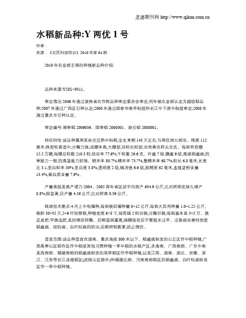 水稻新品种Y两优1号