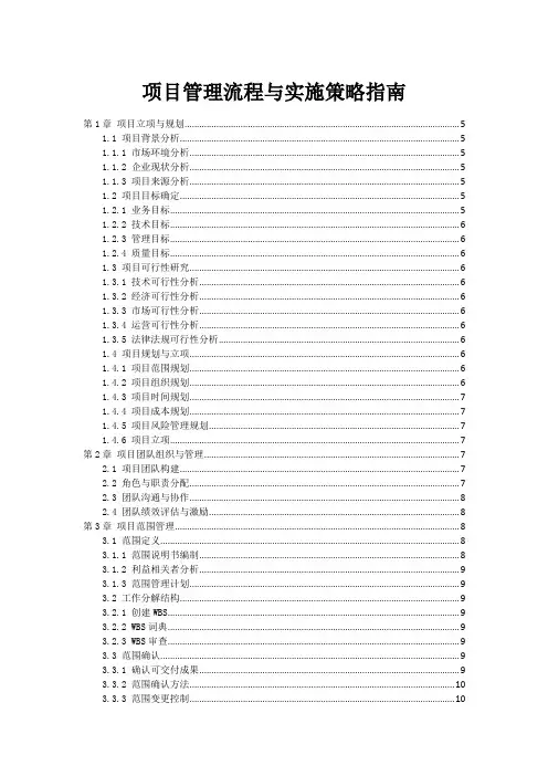 项目管理流程与实施策略指南