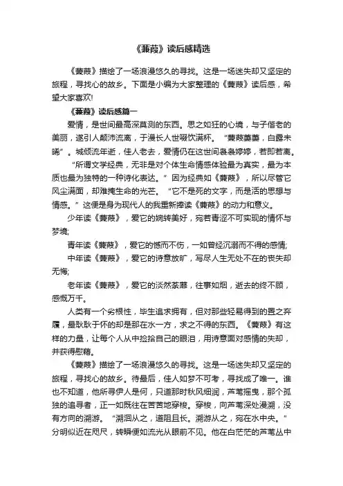 《蒹葭》读后感精选