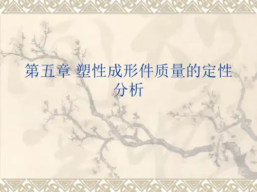 金属塑性成形原理---第五章-塑性成形件质量的定性分析