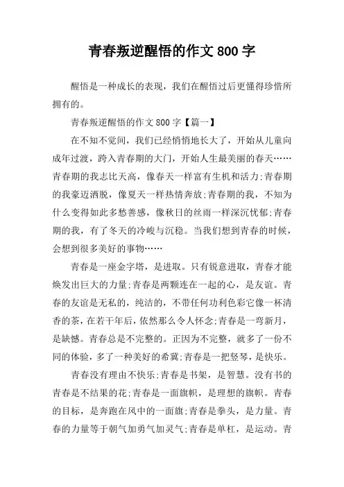 青春叛逆醒悟的作文800字
