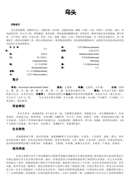 乌头