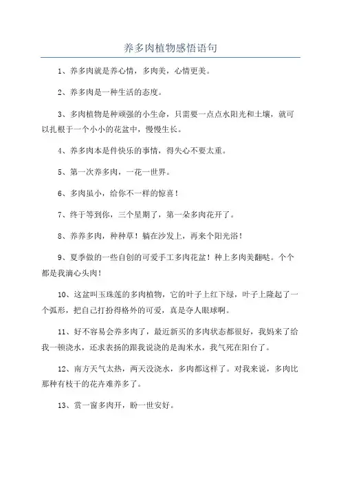 养多肉植物感悟语句