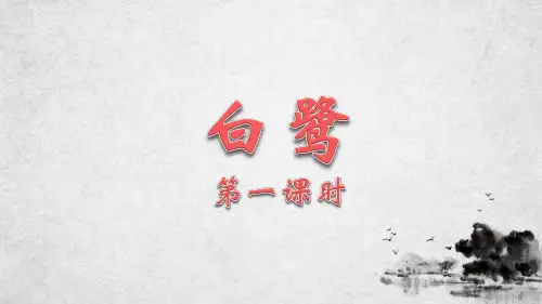 《白鹭》第一课时(共26张PPT)