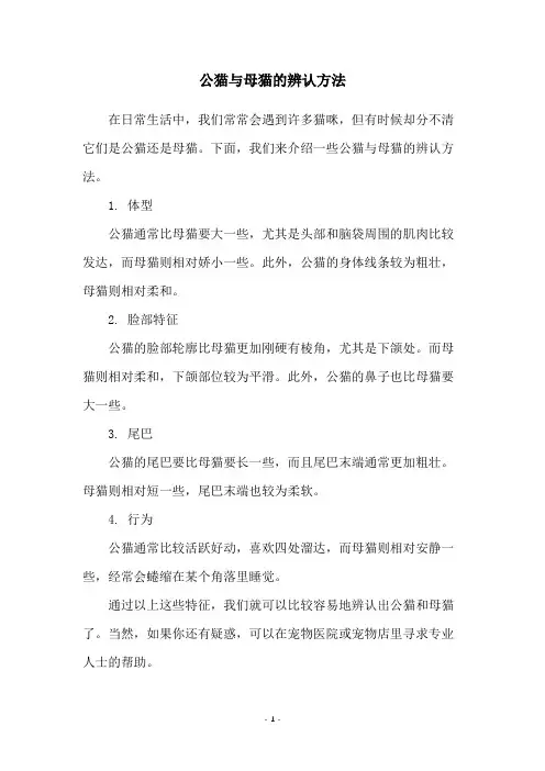 公猫与母猫的辨认方法