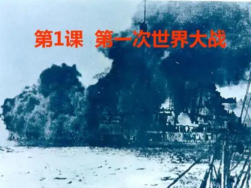 中华书局版九年级历史下册第1课 第一次世界大战(共25张PPT)