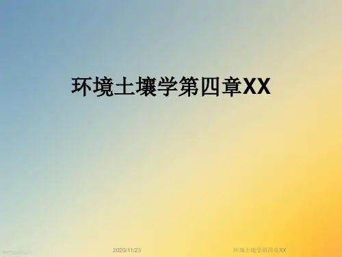环境土壤学第四章XX