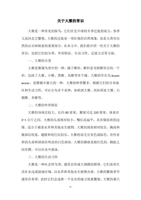 关于大雁的常识