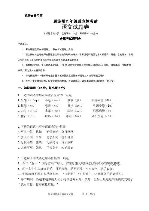 恩施州九年级语文中考测试题(参考卷)A01