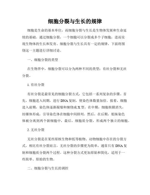 细胞分裂与生长的规律