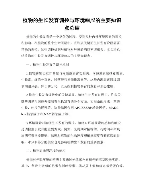 植物的生长发育调控与环境响应的主要知识点总结