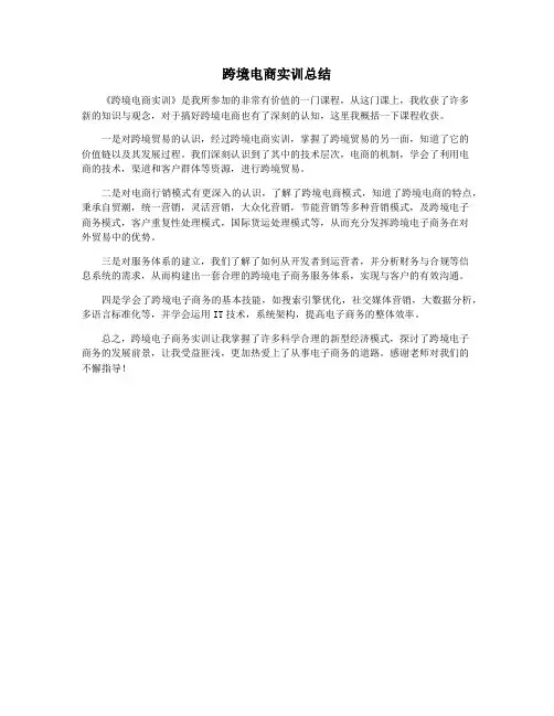 跨境电商实训总结