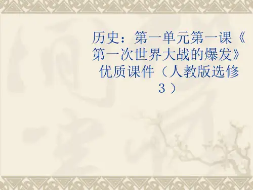 1.1《第一次世界大战的爆发》优质课件 新人教版选修3