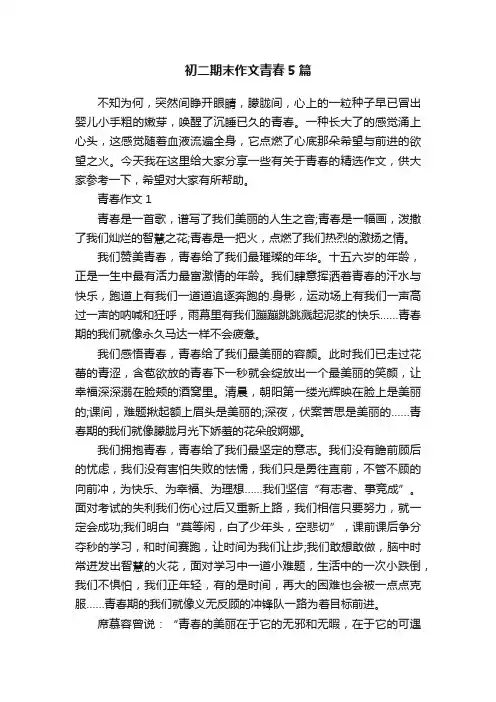 初二期末作文青春5篇