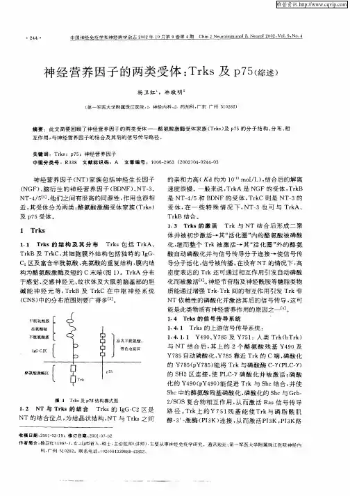 神经营养因子的两类受体：Trks及p75(综述)