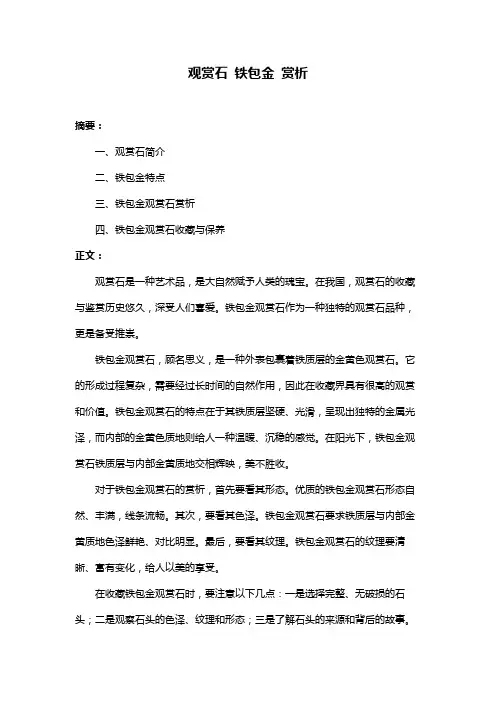 观赏石 铁包金 赏析