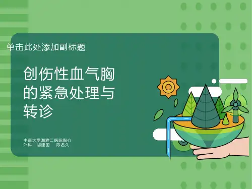 创伤性血气胸的紧急处理与转诊资料