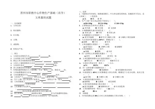 玉米试题